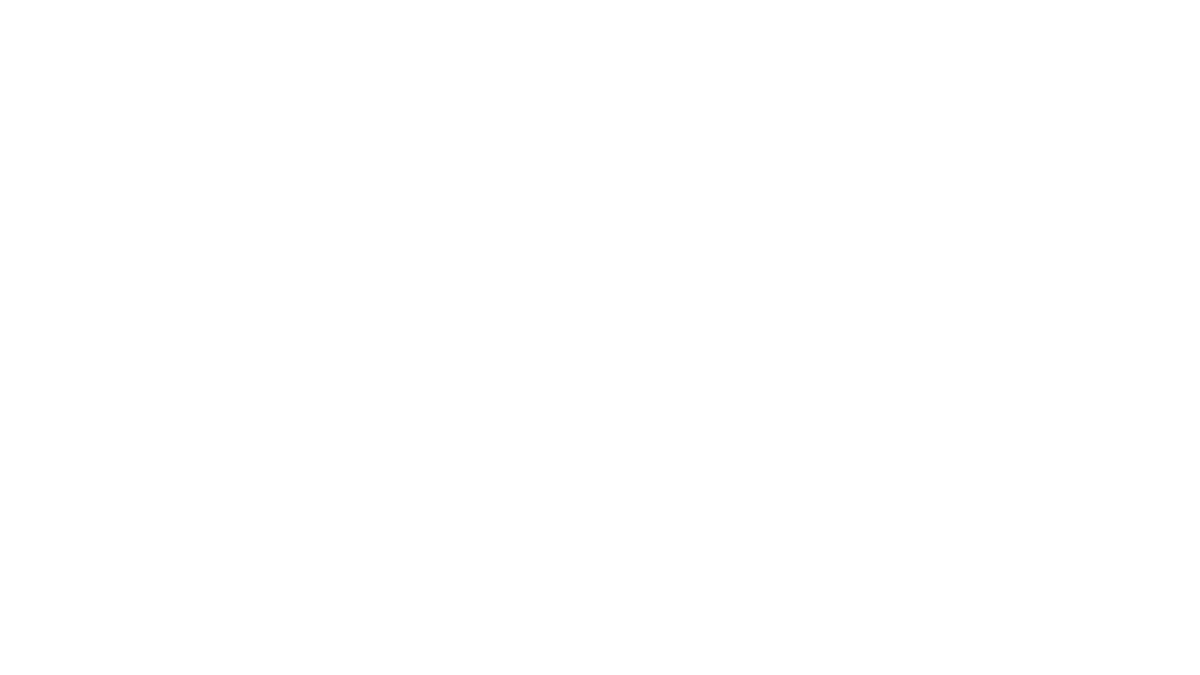 Pyramid Analytics