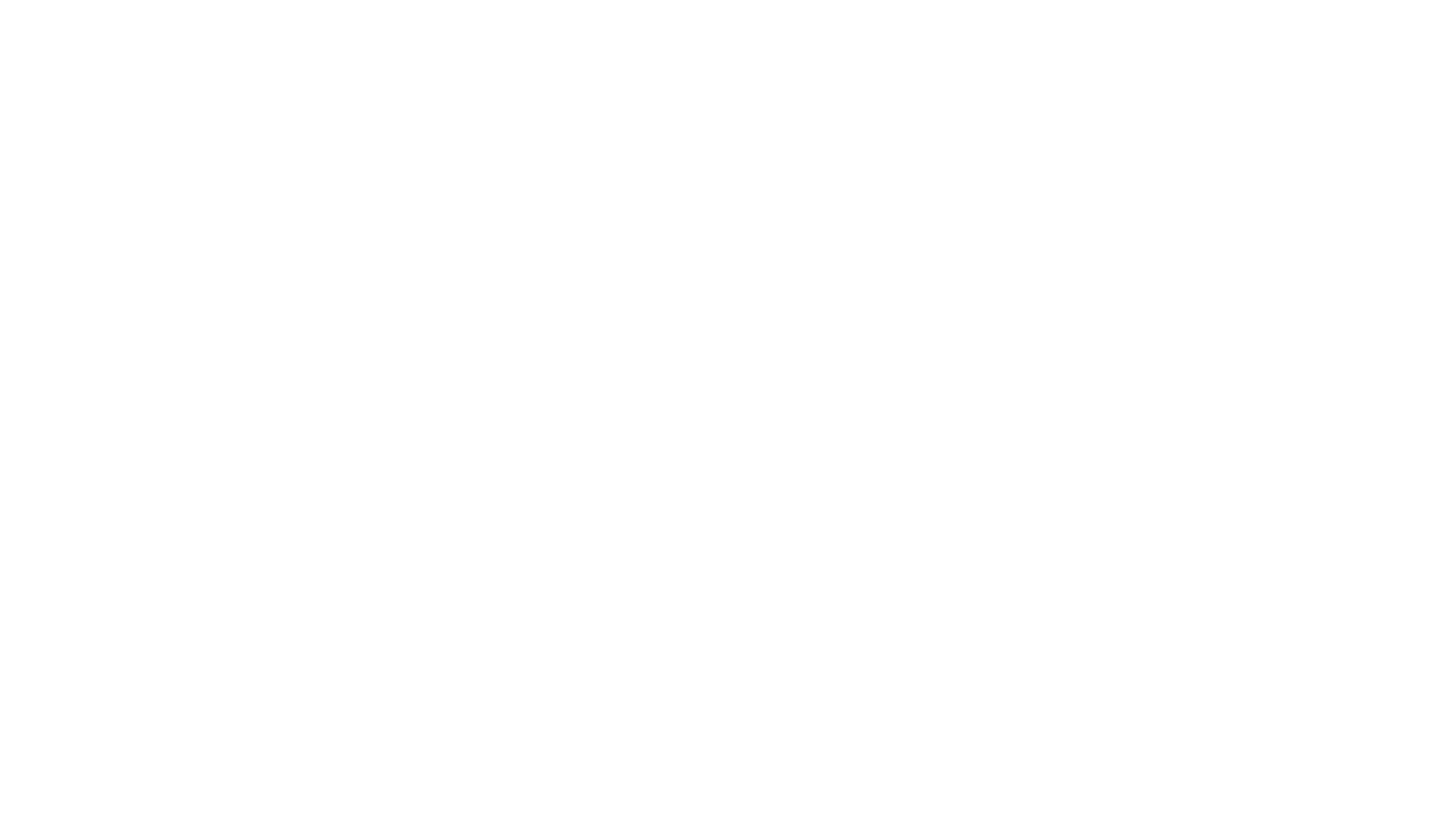 Salt Security Inc (fka Secful)