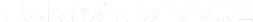 TurionSpace - White Logo